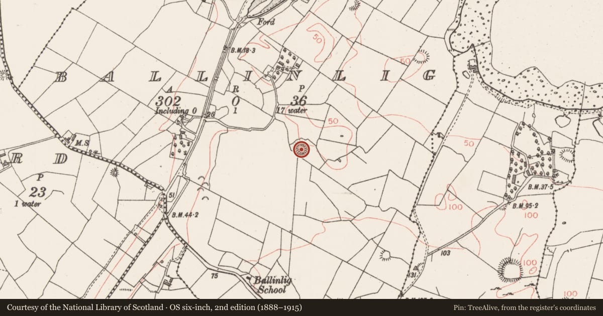 Ordnance Survey six-inch map, 2nd edition (1888–1915) covering the location of Ringfort - rath, Ballinlig, County Sligo, with a pin at the register's coordinates