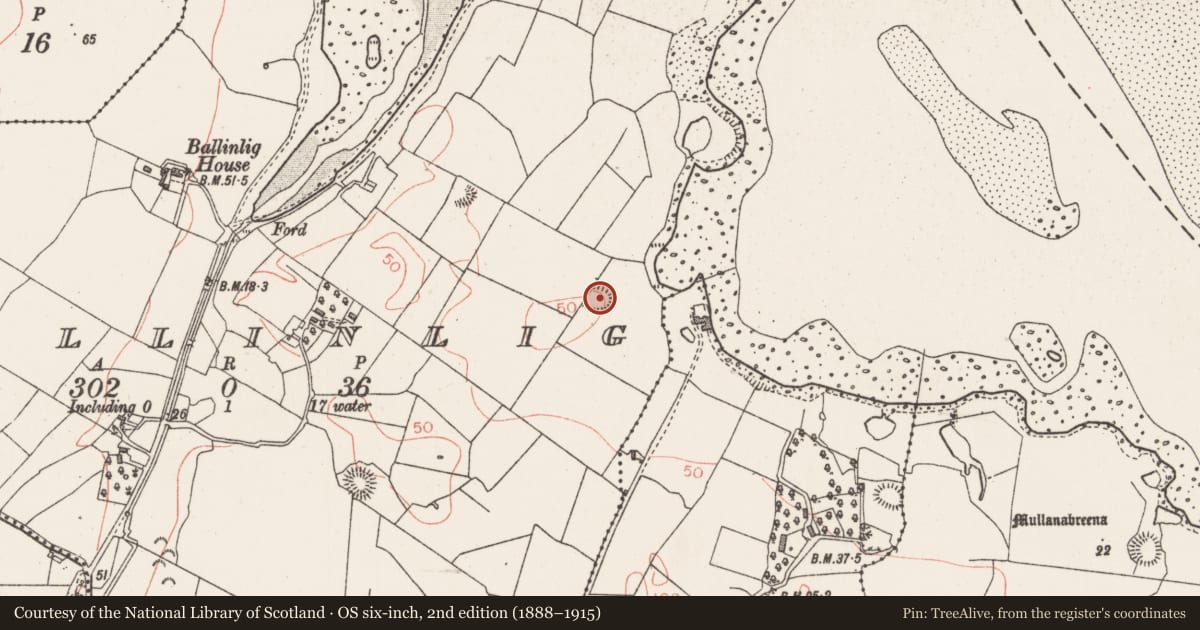 Ordnance Survey six-inch map, 2nd edition (1888–1915) covering the location of Ringfort - rath, Ballinlig, County Sligo, with a pin at the register's coordinates