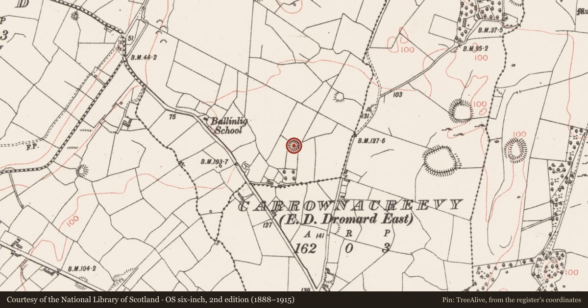 Ordnance Survey six-inch map, 2nd edition (1888–1915) covering the location of Ringfort - rath, Ballinlig, County Sligo, with a pin at the register's coordinates