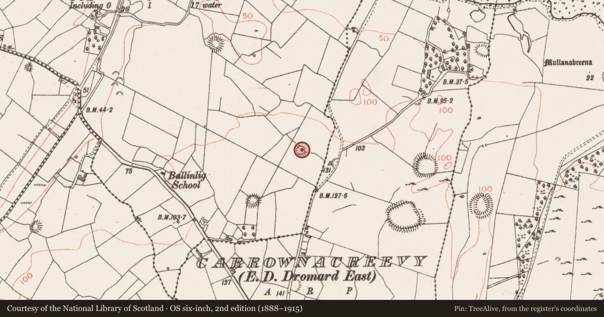Ordnance Survey six-inch map, 2nd edition (1888–1915) covering the location of Ringfort - rath, Ballinlig, County Sligo, with a pin at the register's coordinates