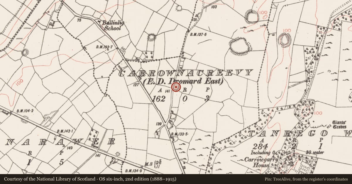 Ordnance Survey six-inch map, 2nd edition (1888–1915) covering the location of Ringfort - rath, Carrownacreevy, County Sligo, with a pin at the register's coordinates