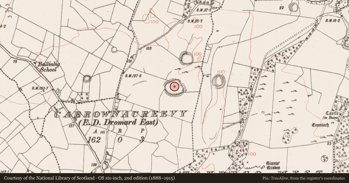 Ordnance Survey six-inch map, 2nd edition (1888–1915) covering the location of Enclosure, Carrownacreevy, County Sligo, with a pin at the register's coordinates