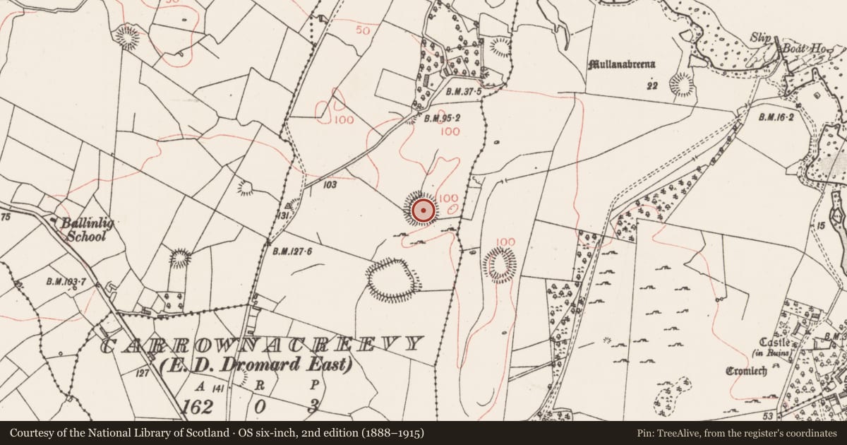 Ordnance Survey six-inch map, 2nd edition (1888–1915) covering the location of Ringfort - rath, Carrownacreevy, County Sligo, with a pin at the register's coordinates