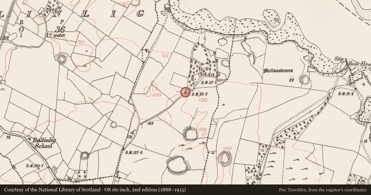 Ordnance Survey six-inch map, 2nd edition (1888–1915) covering the location of Ringfort - rath, Carrownacreevy, County Sligo, with a pin at the register's coordinates