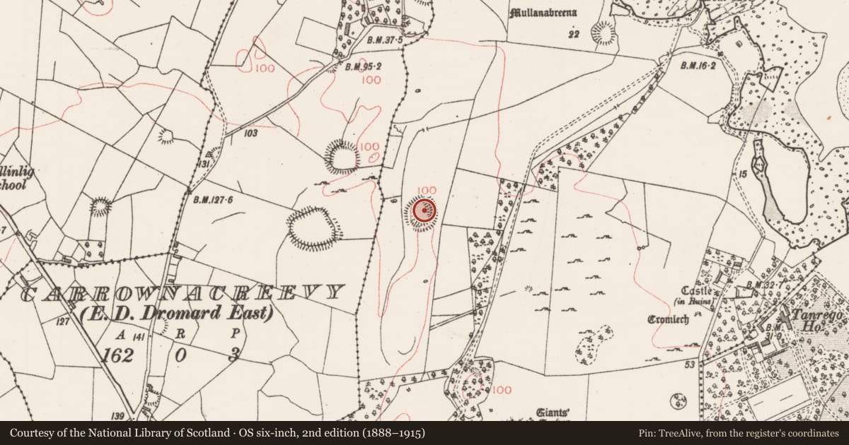 Ordnance Survey six-inch map, 2nd edition (1888–1915) covering the location of Hut site, Tanrego West, County Sligo, with a pin at the register's coordinates