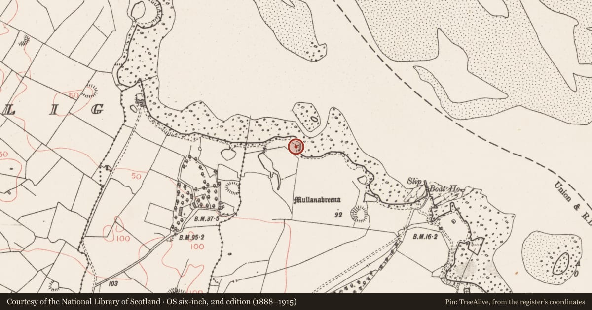 Ordnance Survey six-inch map, 2nd edition (1888–1915) covering the location of Midden, Tanrego West, County Sligo, with a pin at the register's coordinates