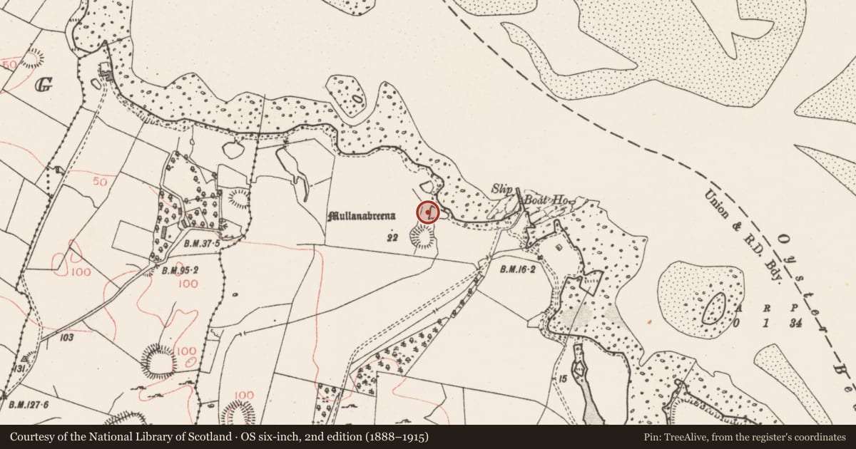 Ordnance Survey six-inch map, 2nd edition (1888–1915) covering the location of Midden, Tanrego West, County Sligo, with a pin at the register's coordinates