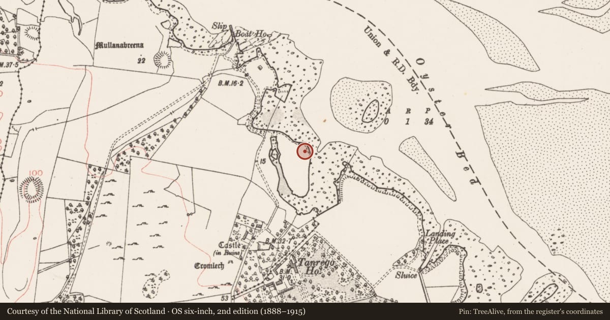 Ordnance Survey six-inch map, 2nd edition (1888–1915) covering the location of Midden, Tanrego West, County Sligo, with a pin at the register's coordinates