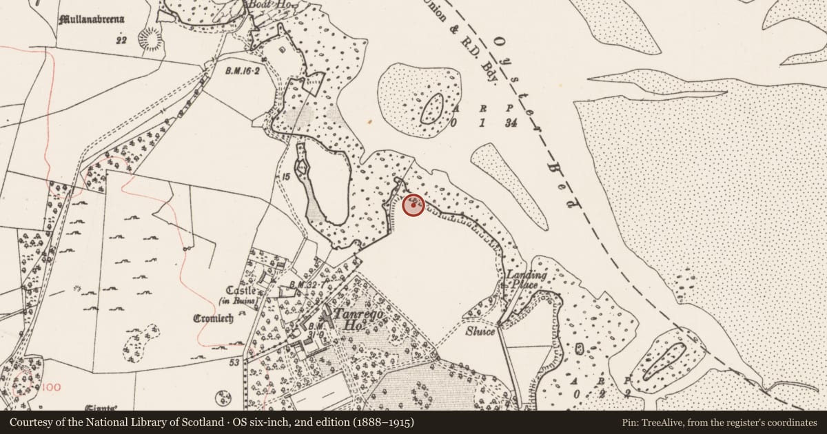 Ordnance Survey six-inch map, 2nd edition (1888–1915) covering the location of Midden, Tanrego East Or Carrowmore, County Sligo, with a pin at the register's coordinates