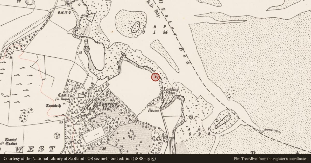 Ordnance Survey six-inch map, 2nd edition (1888–1915) covering the location of Midden, Tanrego East Or Carrowmore, County Sligo, with a pin at the register's coordinates