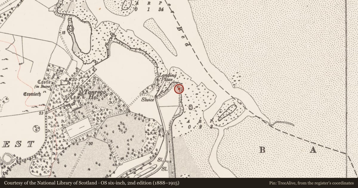Ordnance Survey six-inch map, 2nd edition (1888–1915) covering the location of Midden, Tanrego East Or Carrowmore, County Sligo, with a pin at the register's coordinates