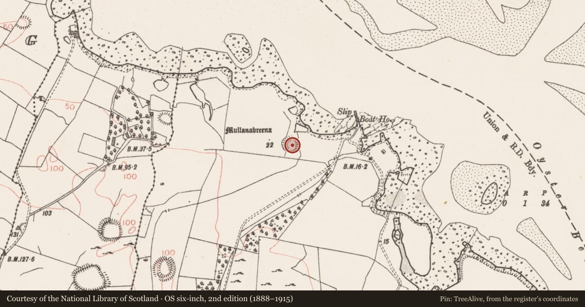 Ordnance Survey six-inch map, 2nd edition (1888–1915) covering the location of Ringfort - rath, Tanrego West, County Sligo, with a pin at the register's coordinates