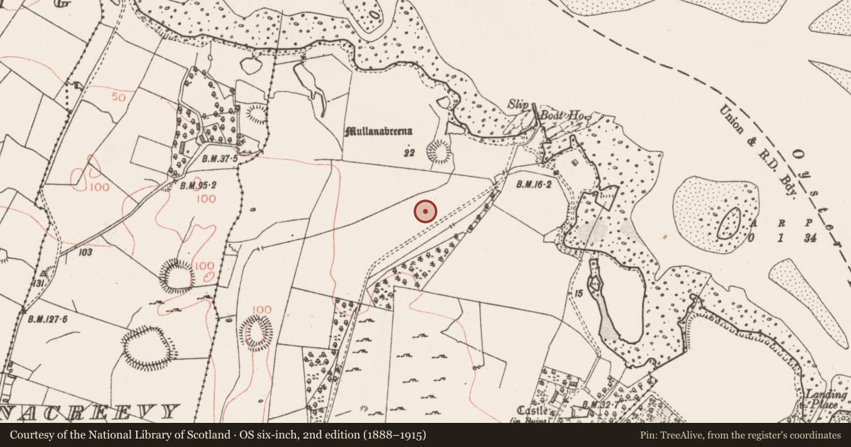 Ordnance Survey six-inch map, 2nd edition (1888–1915) covering the location of Standing stone, Tanrego West, County Sligo, with a pin at the register's coordinates
