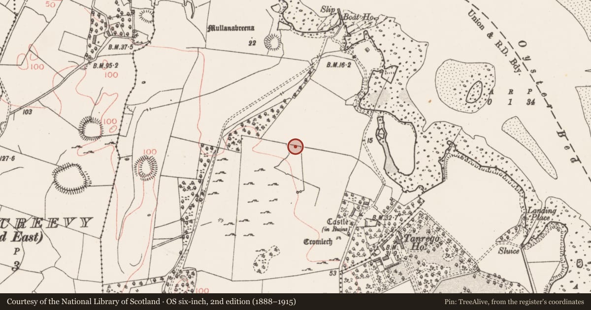 Ordnance Survey six-inch map, 2nd edition (1888–1915) covering the location of Standing stone, Tanrego West, County Sligo, with a pin at the register's coordinates
