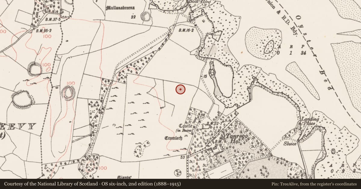 Ordnance Survey six-inch map, 2nd edition (1888–1915) covering the location of Enclosure, Tanrego West, County Sligo, with a pin at the register's coordinates