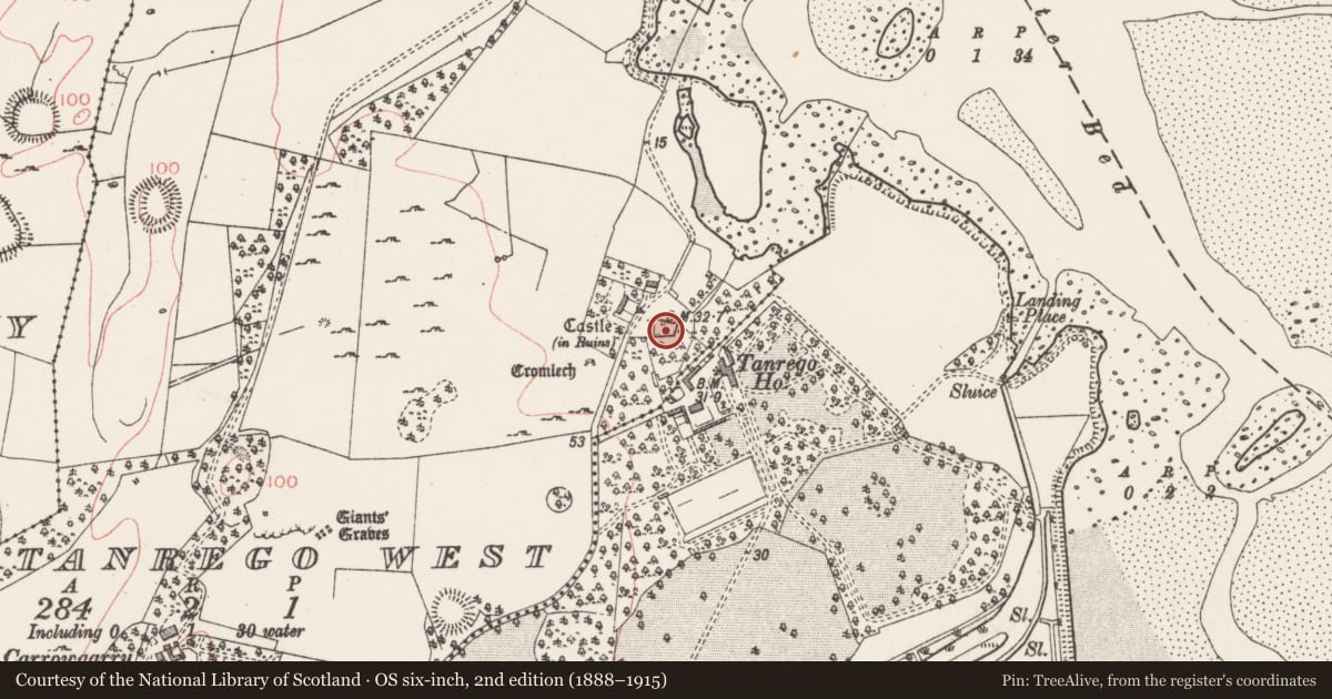 Ordnance Survey six-inch map, 2nd edition (1888–1915) covering the location of Castle - unclassified, Tanrego West, County Sligo, with a pin at the register's coordinates
