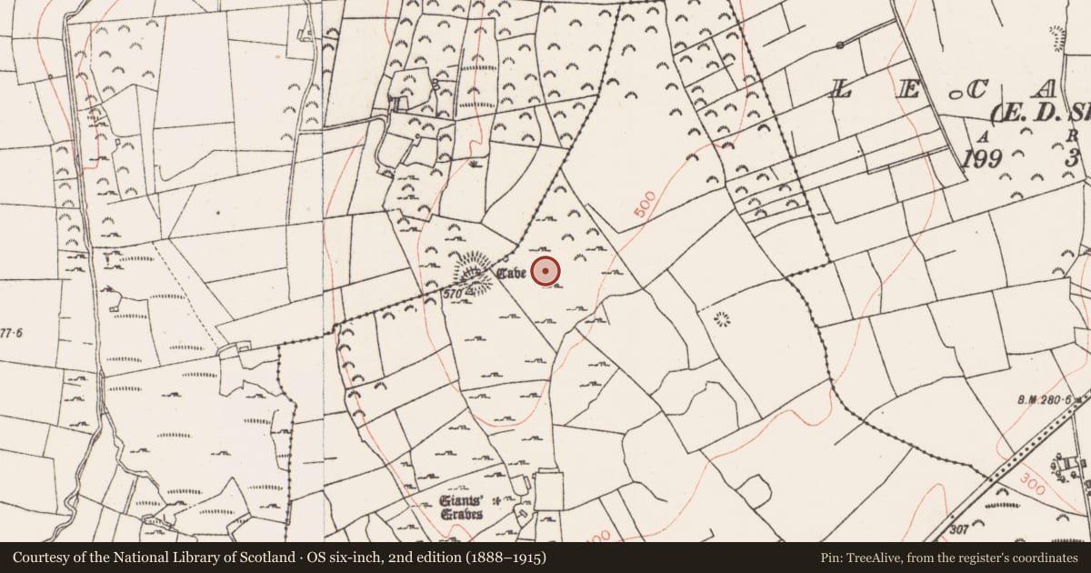 Ordnance Survey six-inch map, 2nd edition (1888–1915) covering the location of Hut site, Farranyharpy, County Sligo, with a pin at the register's coordinates