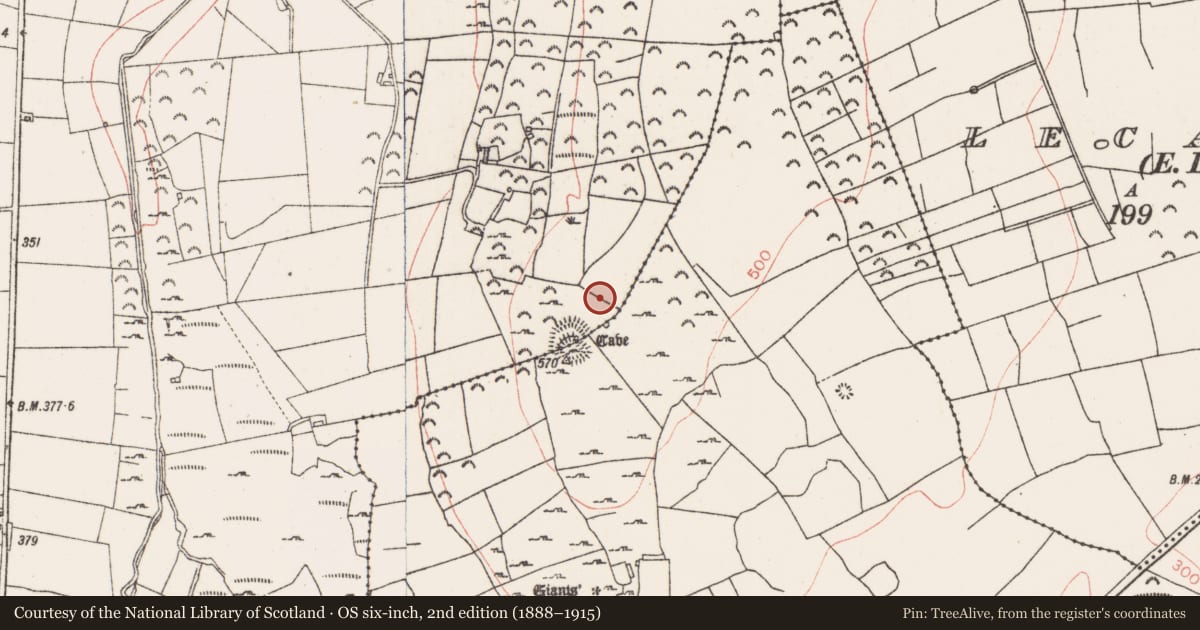 Ordnance Survey six-inch map, 2nd edition (1888–1915) covering the location of Field system, Farranyharpy, County Sligo, with a pin at the register's coordinates