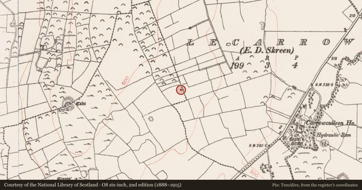 Ordnance Survey six-inch map, 2nd edition (1888–1915) covering the location of Enclosure, Carrowculleen, County Sligo, with a pin at the register's coordinates
