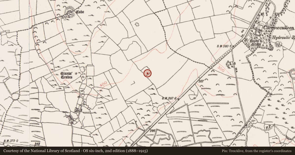 Ordnance Survey six-inch map, 2nd edition (1888–1915) covering the location of Enclosure, Carrowculleen, County Sligo, with a pin at the register's coordinates