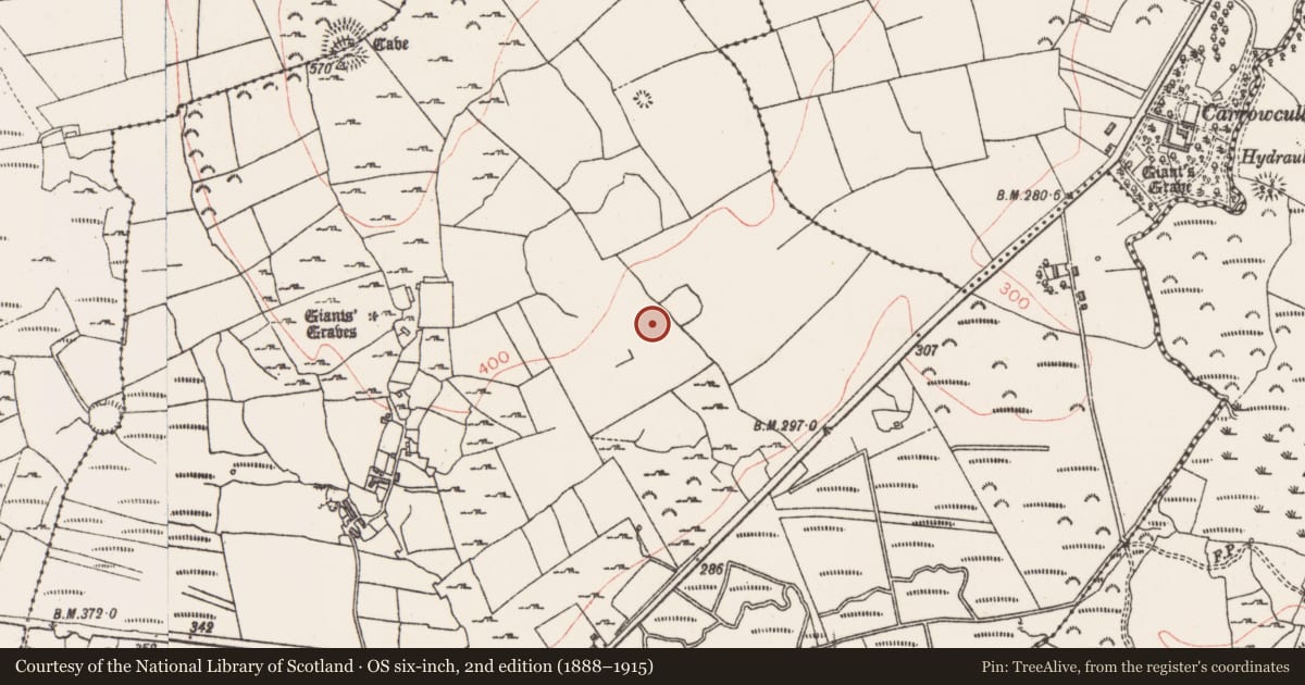 Ordnance Survey six-inch map, 2nd edition (1888–1915) covering the location of Enclosure, Carrowculleen, County Sligo, with a pin at the register's coordinates