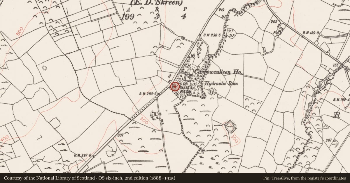 Ordnance Survey six-inch map, 2nd edition (1888–1915) covering the location of Megalithic tomb - court tomb, Lecarrow, County Sligo, with a pin at the register's coordinates