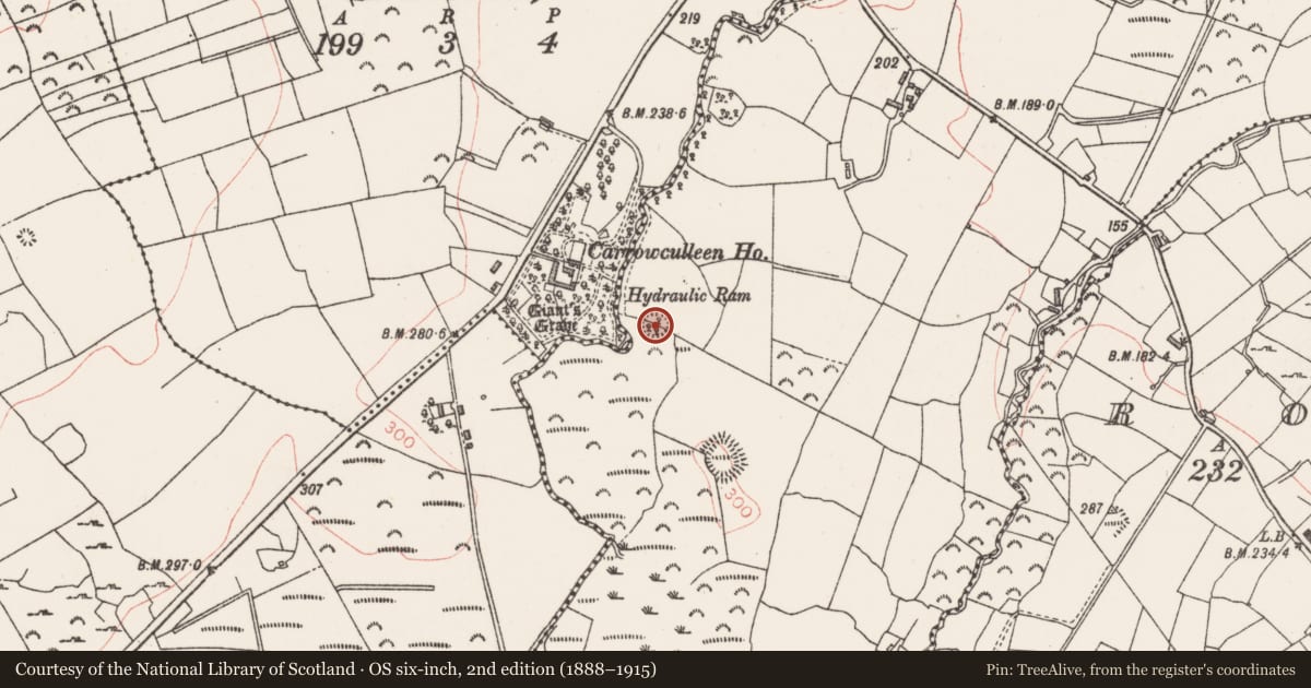 Ordnance Survey six-inch map, 2nd edition (1888–1915) covering the location of Ringfort - rath, Drumnagoal, County Sligo, with a pin at the register's coordinates