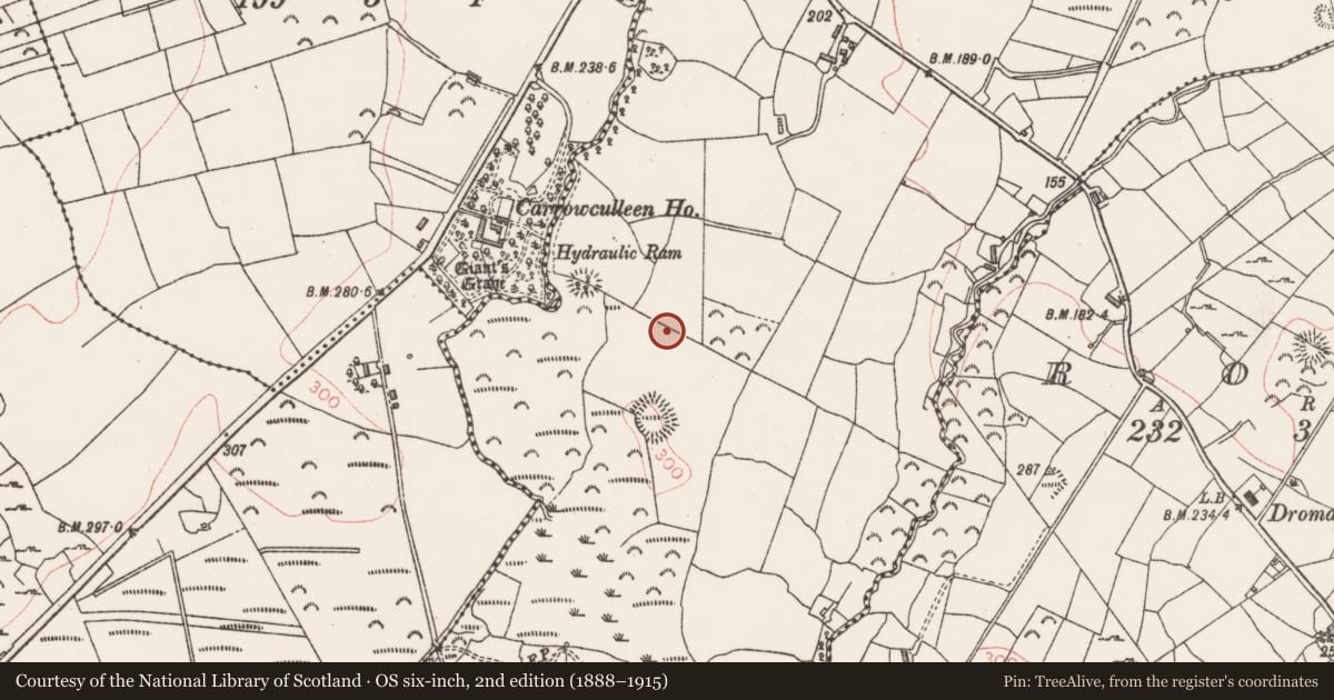 Ordnance Survey six-inch map, 2nd edition (1888–1915) covering the location of Enclosure, Drumnagoal, County Sligo, with a pin at the register's coordinates