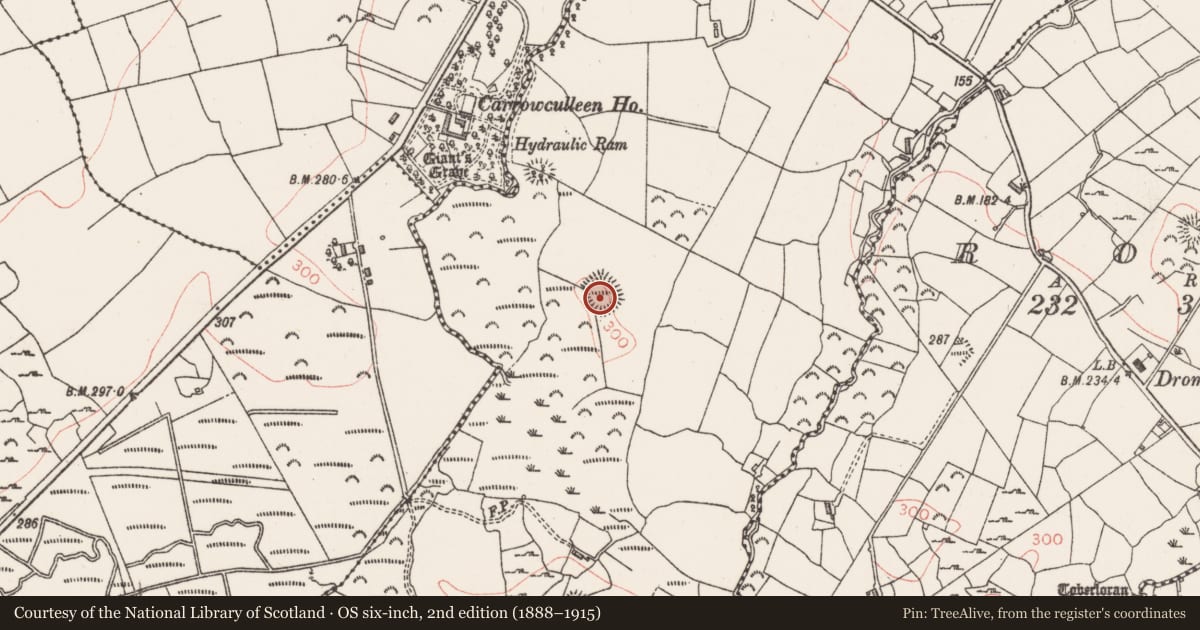 Ordnance Survey six-inch map, 2nd edition (1888–1915) covering the location of Ringfort - rath, Drumnagoal, County Sligo, with a pin at the register's coordinates