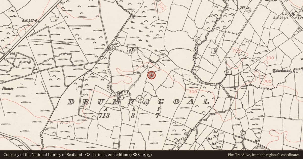 Ordnance Survey six-inch map, 2nd edition (1888–1915) covering the location of Ringfort - unclassified, Drumnagoal, County Sligo, with a pin at the register's coordinates