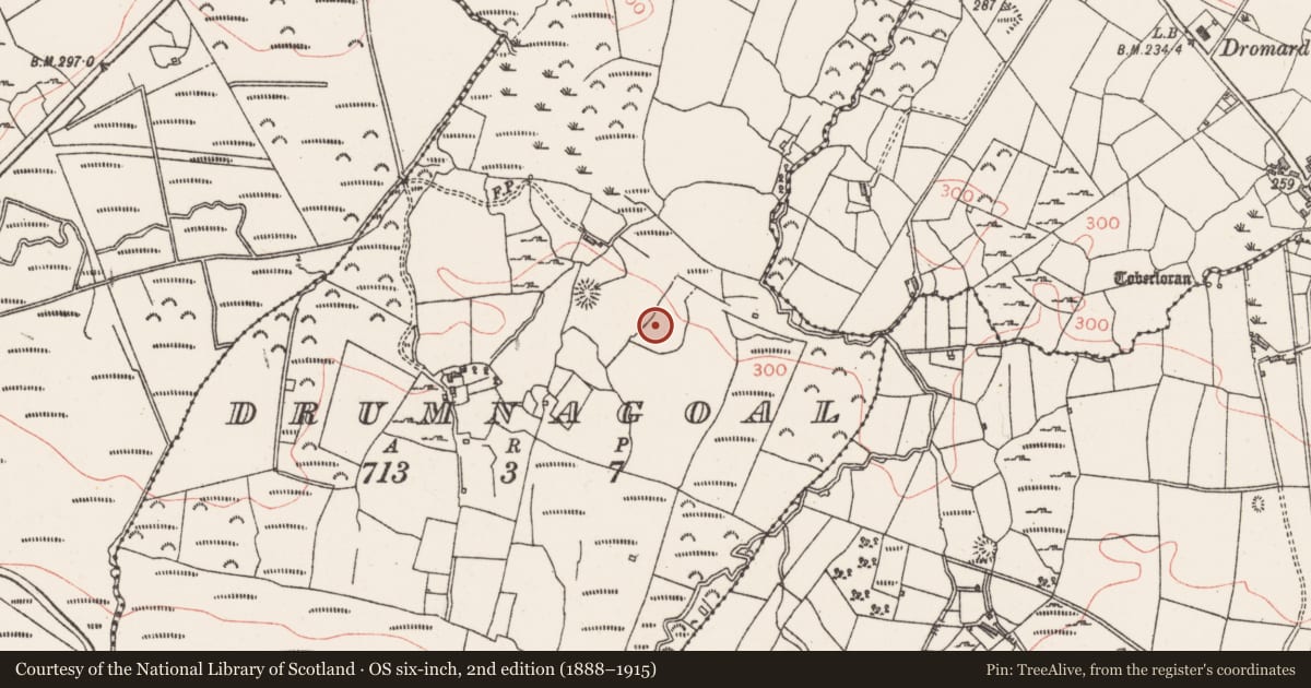 Ordnance Survey six-inch map, 2nd edition (1888–1915) covering the location of Ringfort - rath, Drumnagoal, County Sligo, with a pin at the register's coordinates