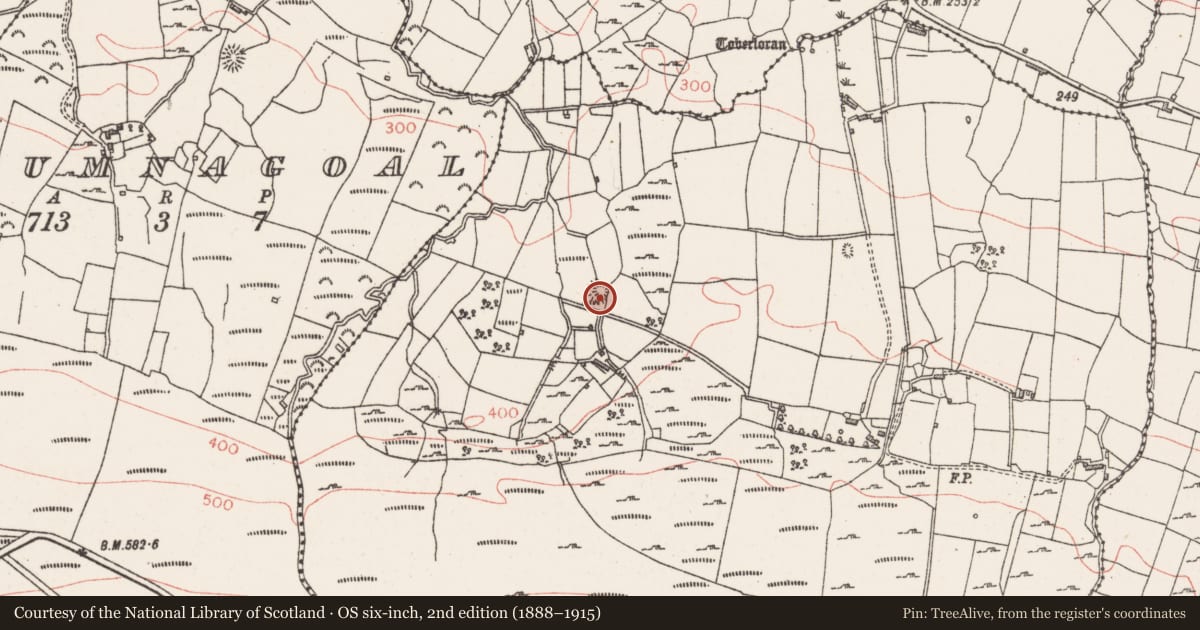 Ordnance Survey six-inch map, 2nd edition (1888–1915) covering the location of Ringfort - cashel, Carrownamaddoo, County Sligo, with a pin at the register's coordinates