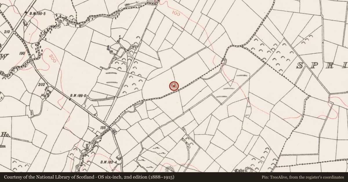 Ordnance Survey six-inch map, 2nd edition (1888–1915) covering the location of Ringfort - rath, Drumnagoal, County Sligo, with a pin at the register's coordinates