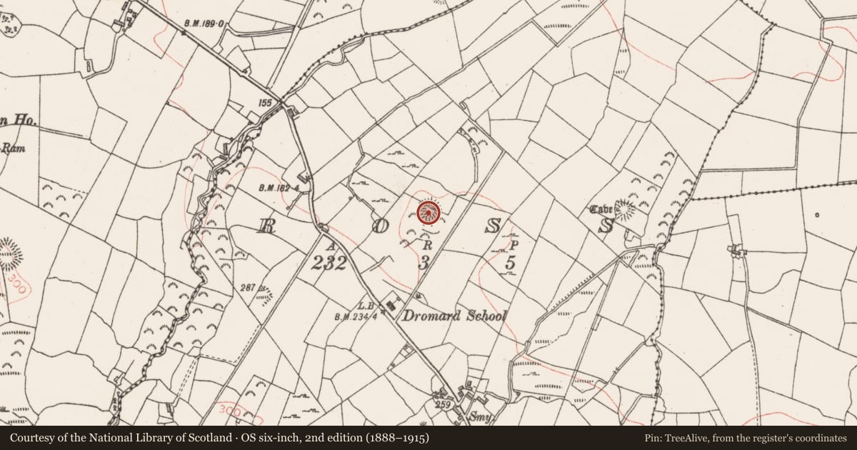 Ordnance Survey six-inch map, 2nd edition (1888–1915) covering the location of Ringfort - rath, Ross, County Sligo, with a pin at the register's coordinates