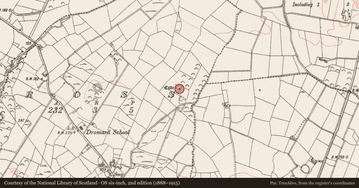 Ordnance Survey six-inch map, 2nd edition (1888–1915) covering the location of Ringfort - rath, Ross, County Sligo, with a pin at the register's coordinates