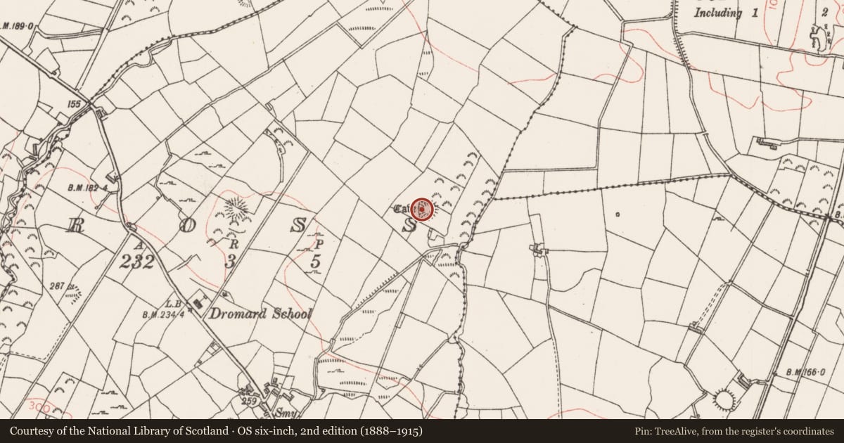 Ordnance Survey six-inch map, 2nd edition (1888–1915) covering the location of Souterrain, Ross, County Sligo, with a pin at the register's coordinates