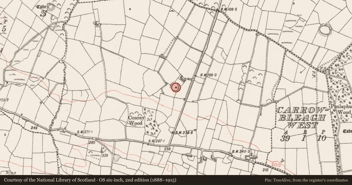 Ordnance Survey six-inch map, 2nd edition (1888–1915) covering the location of Ringfort - rath, Cloonagh, County Sligo, with a pin at the register's coordinates