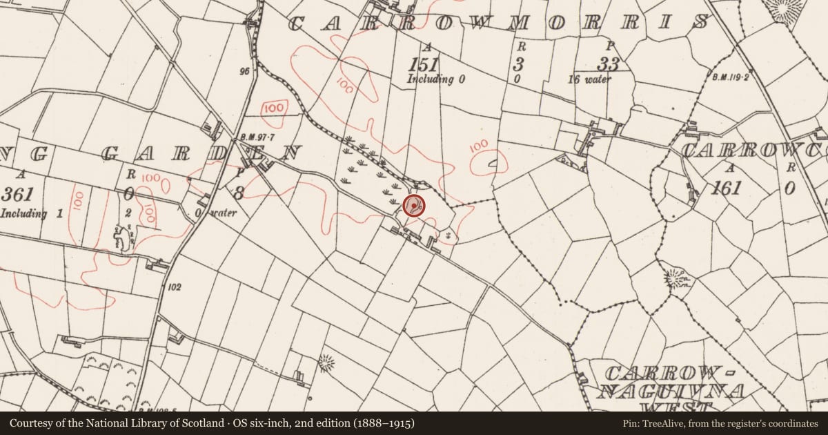 Ordnance Survey six-inch map, 2nd edition (1888–1915) covering the location of Enclosure, Spring Garden, County Sligo, with a pin at the register's coordinates