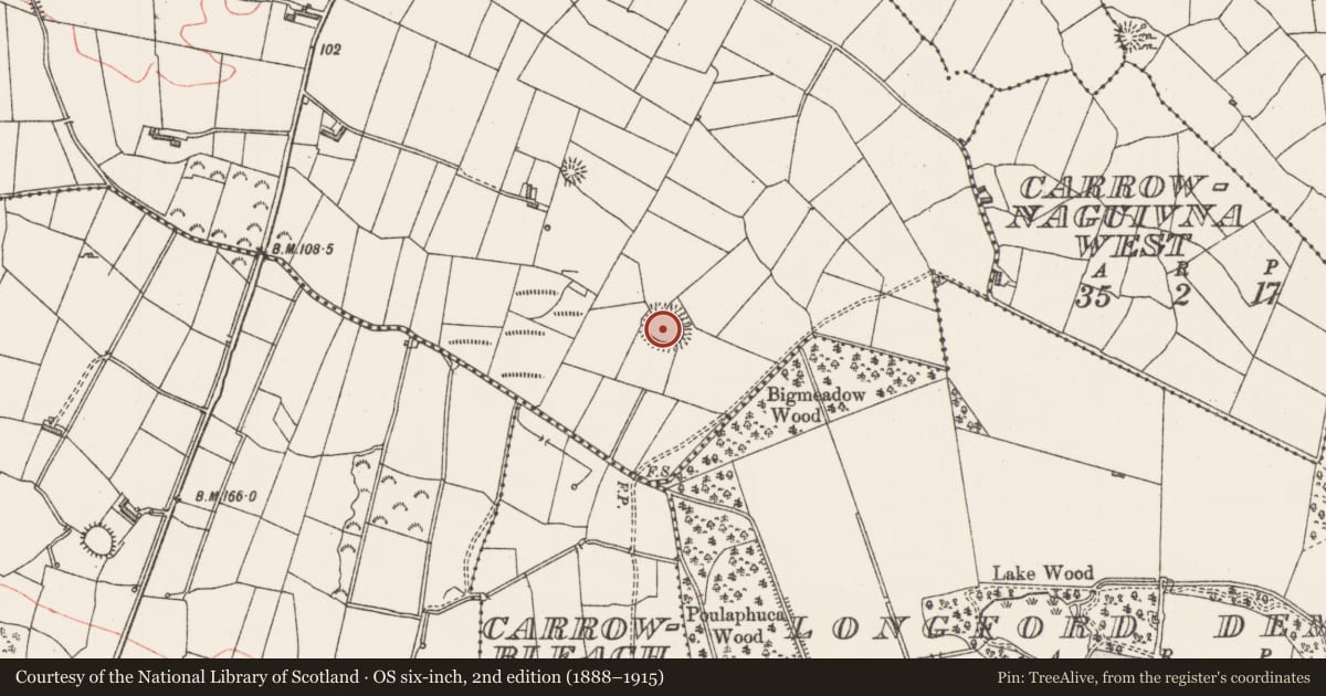 Ordnance Survey six-inch map, 2nd edition (1888–1915) covering the location of Ringfort - rath, Spring Garden, County Sligo, with a pin at the register's coordinates