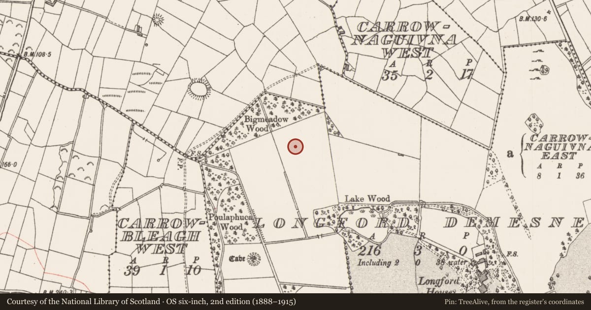 Ordnance Survey six-inch map, 2nd edition (1888–1915) covering the location of Ringfort - unclassified, Longford Demesne, County Sligo, with a pin at the register's coordinates