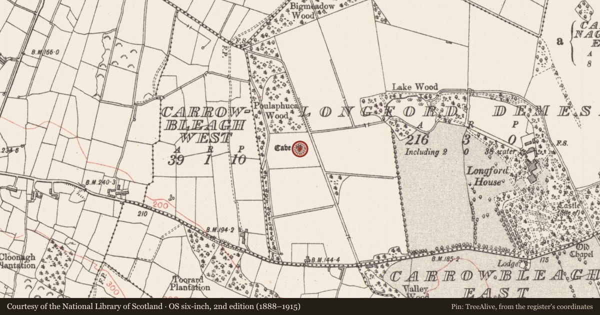 Ordnance Survey six-inch map, 2nd edition (1888–1915) covering the location of Ringfort - rath, Longford Demesne, County Sligo, with a pin at the register's coordinates