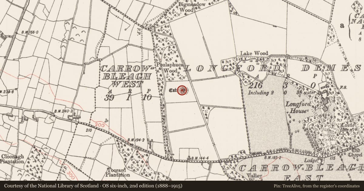 Ordnance Survey six-inch map, 2nd edition (1888–1915) covering the location of Souterrain, Longford Demesne, County Sligo, with a pin at the register's coordinates
