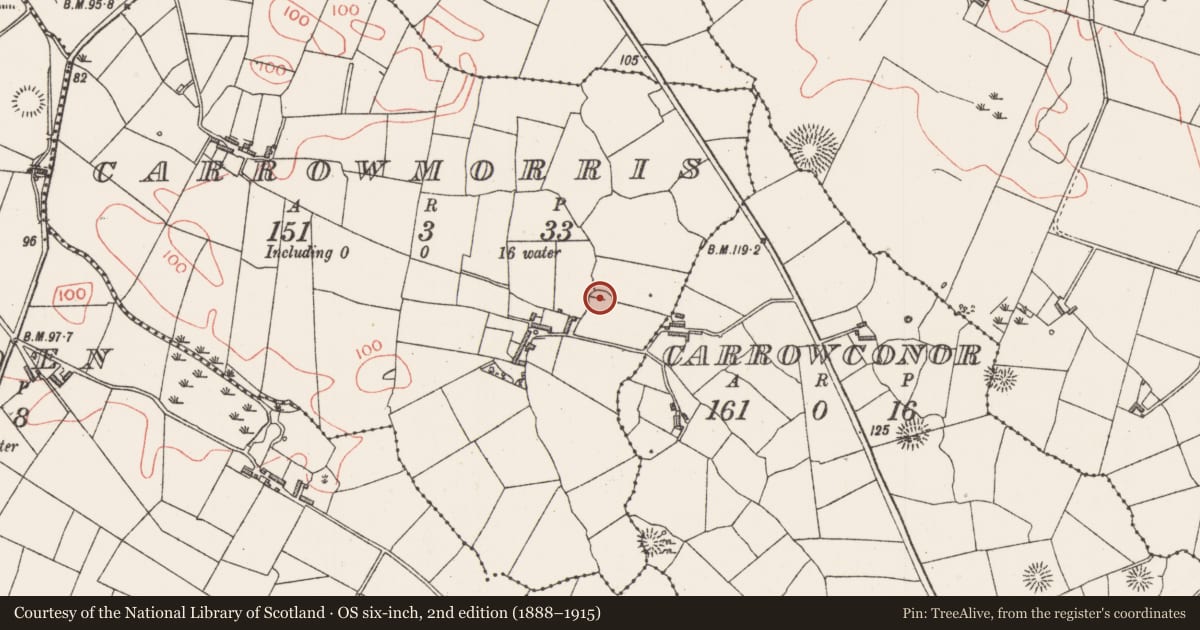 Ordnance Survey six-inch map, 2nd edition (1888–1915) covering the location of Enclosure, Carrowmorris, County Sligo, with a pin at the register's coordinates