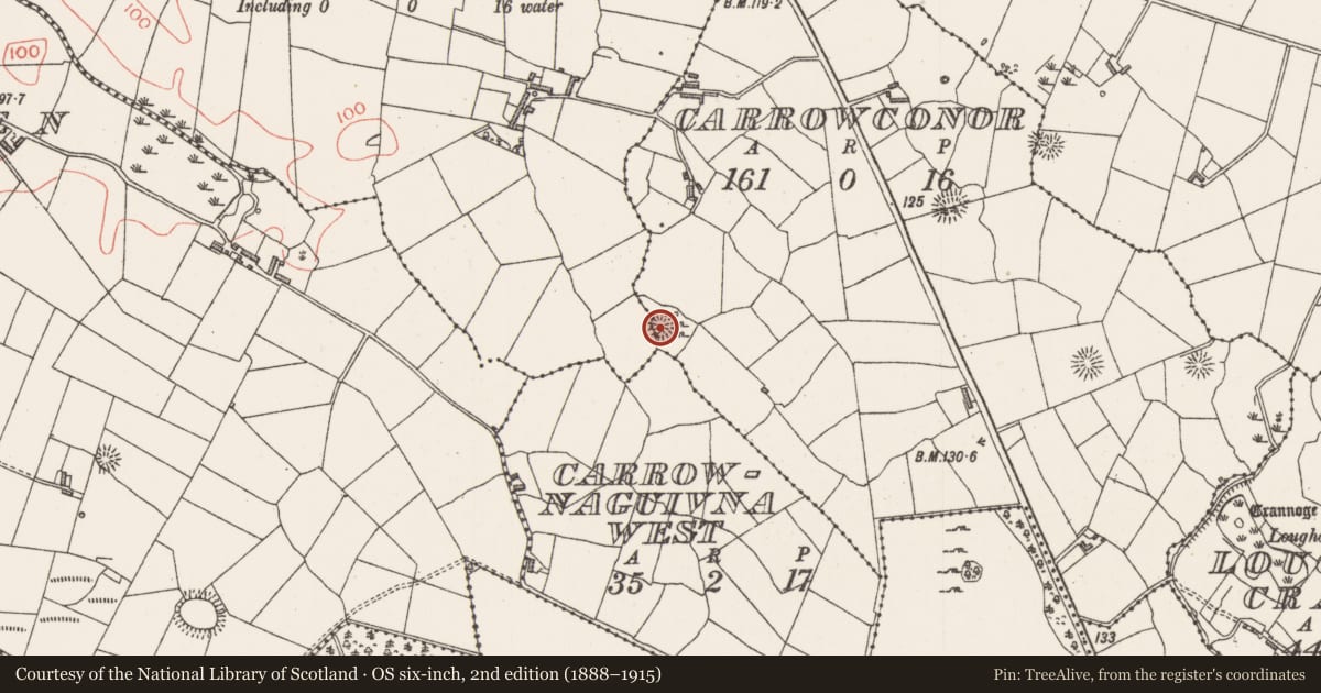 Ordnance Survey six-inch map, 2nd edition (1888–1915) covering the location of Ringfort - rath, Carrowconor, County Sligo, with a pin at the register's coordinates