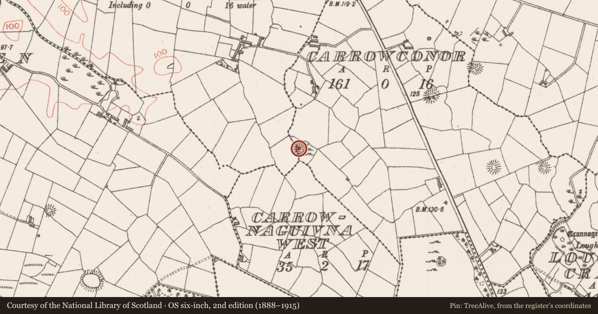 Ordnance Survey six-inch map, 2nd edition (1888–1915) covering the location of House - early medieval, Carrowconor, County Sligo, with a pin at the register's coordinates