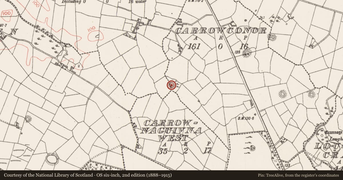 Ordnance Survey six-inch map, 2nd edition (1888–1915) covering the location of Souterrain, Carrowconor, County Sligo, with a pin at the register's coordinates