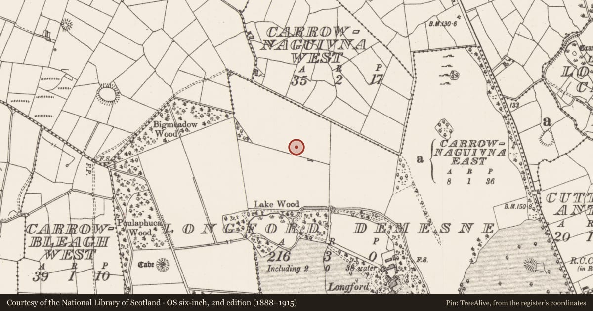 Ordnance Survey six-inch map, 2nd edition (1888–1915) covering the location of Enclosure, Longford Demesne, County Sligo, with a pin at the register's coordinates