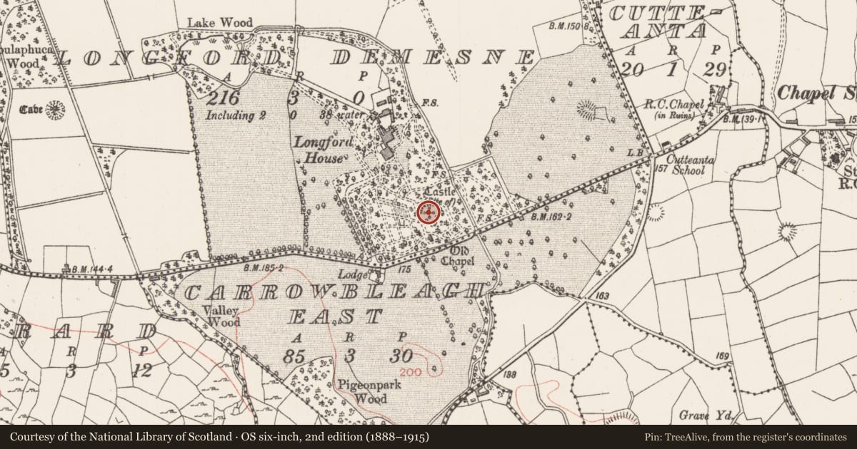 Ordnance Survey six-inch map, 2nd edition (1888–1915) covering the location of Castle - unclassified, Longford Demesne, County Sligo, with a pin at the register's coordinates