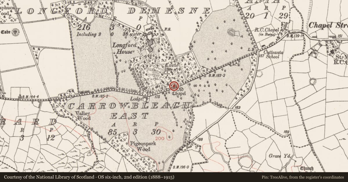 Ordnance Survey six-inch map, 2nd edition (1888–1915) covering the location of Architectural fragment, Longford Demesne, County Sligo, with a pin at the register's coordinates