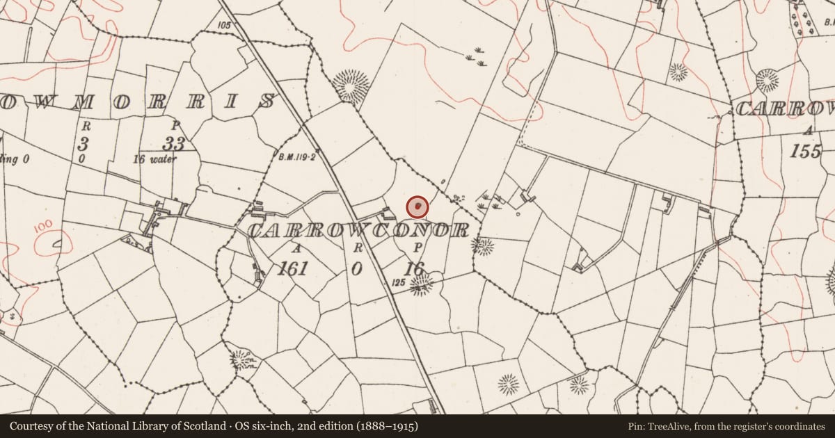 Ordnance Survey six-inch map, 2nd edition (1888–1915) covering the location of Mound, Carrowconor, County Sligo, with a pin at the register's coordinates